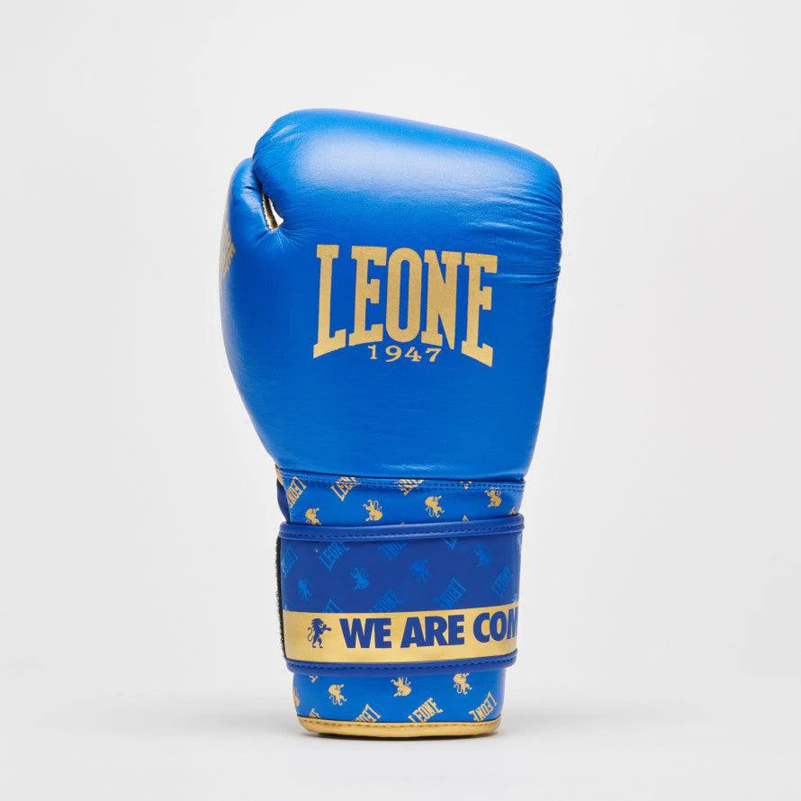Boxing gloves Leone DNA GN220  - Image 12