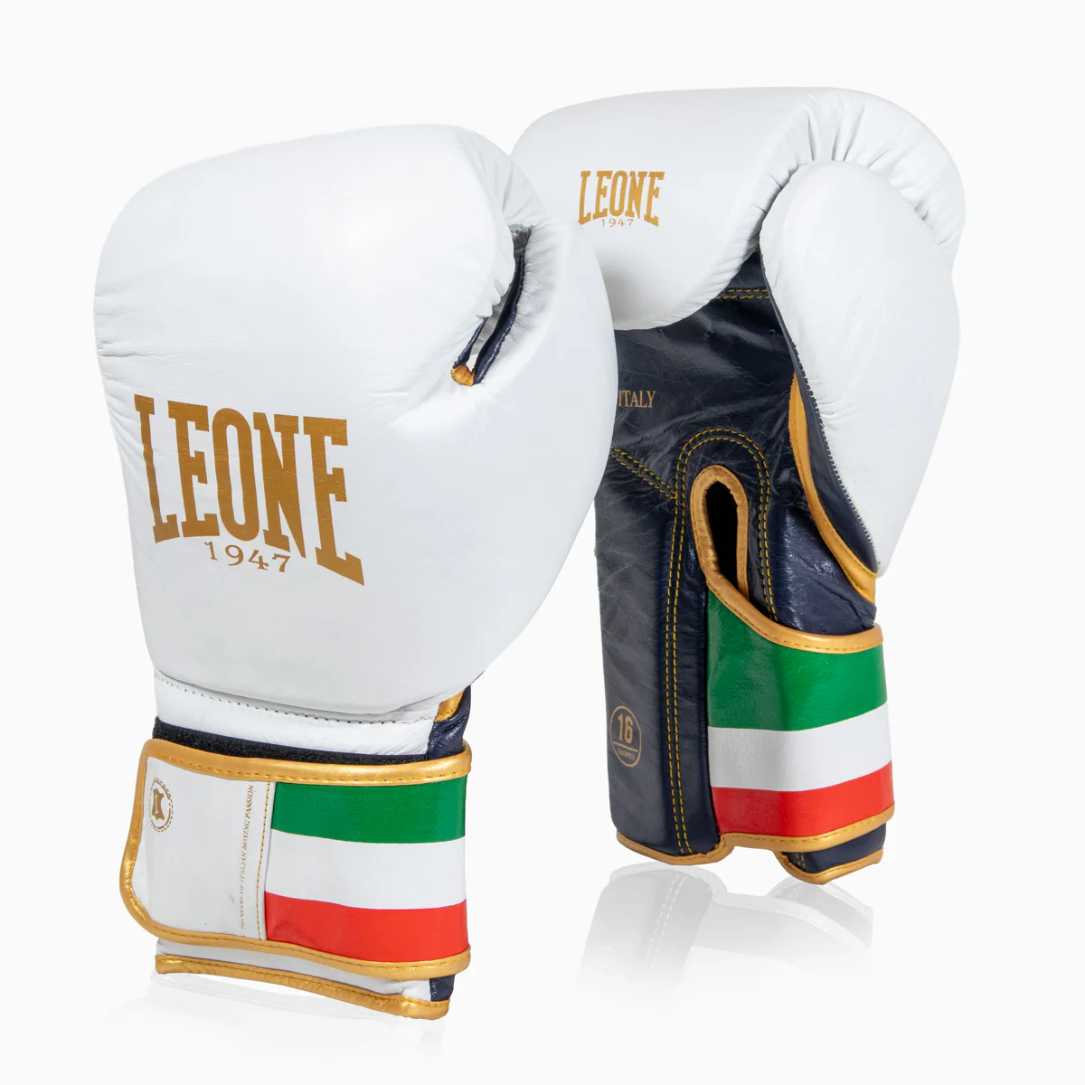 Boxing gloves Leone Italy GN039 