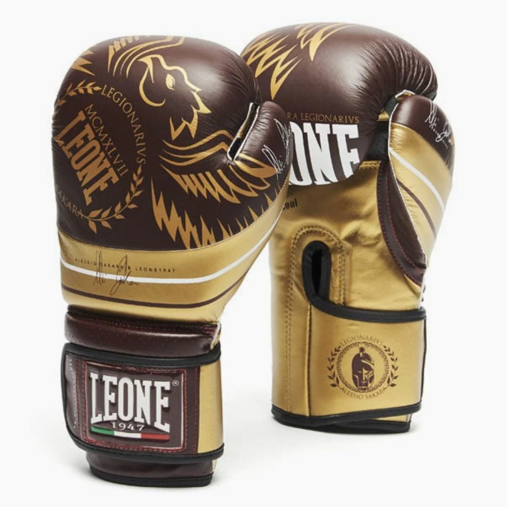 Boxing gloves Leone Legionarivs GN202 