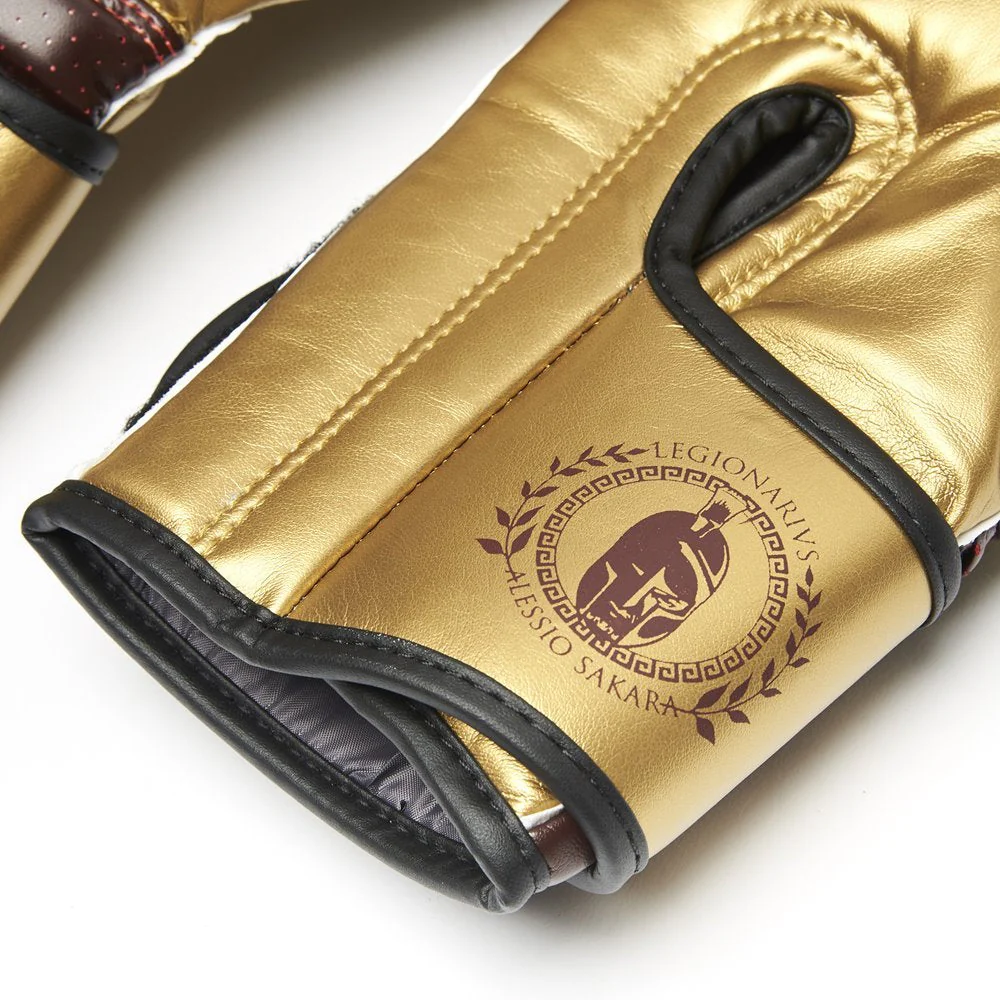 Boxing gloves Leone Legionarivs GN202  - Image 7