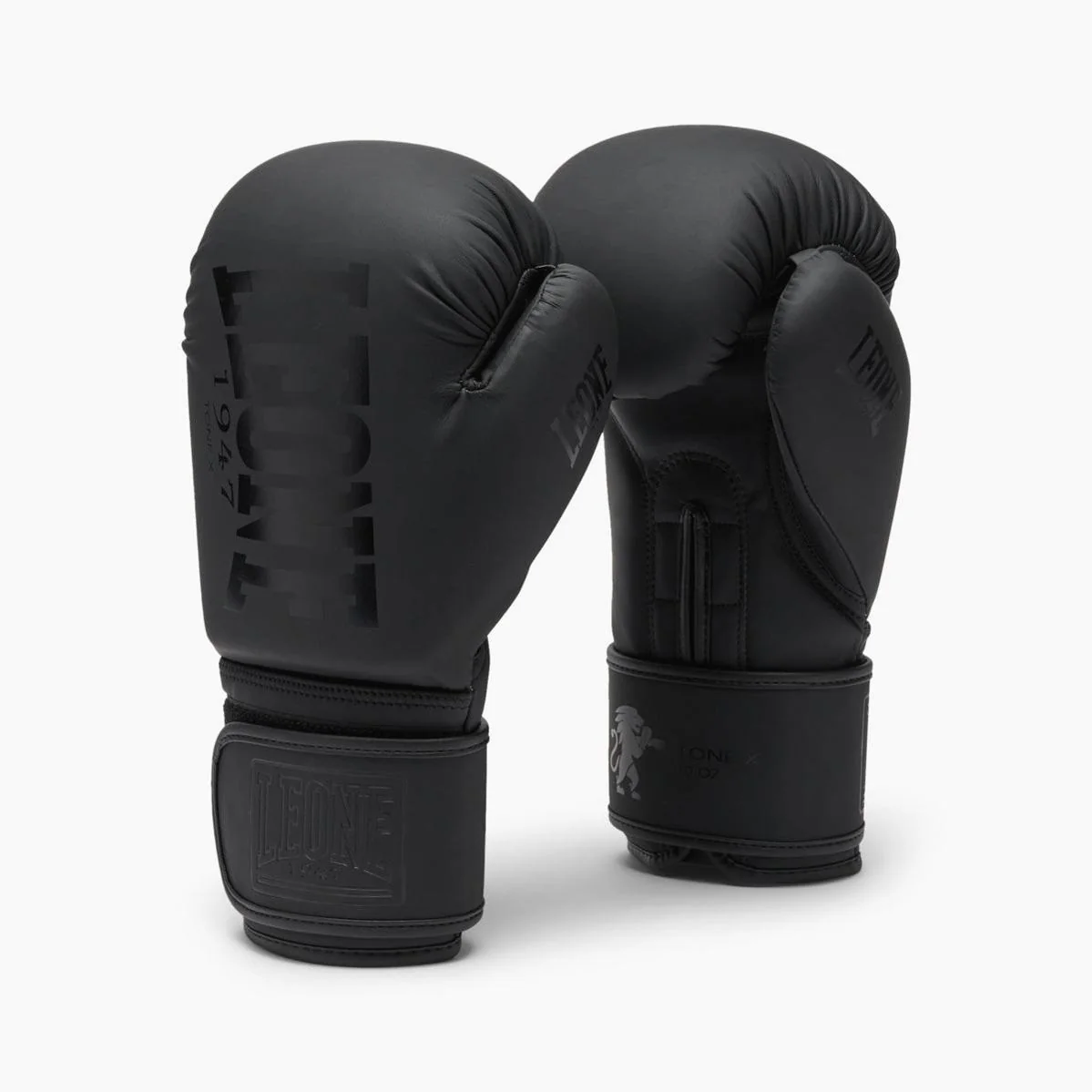 Boxing gloves Leone Tone X GN058 Black 