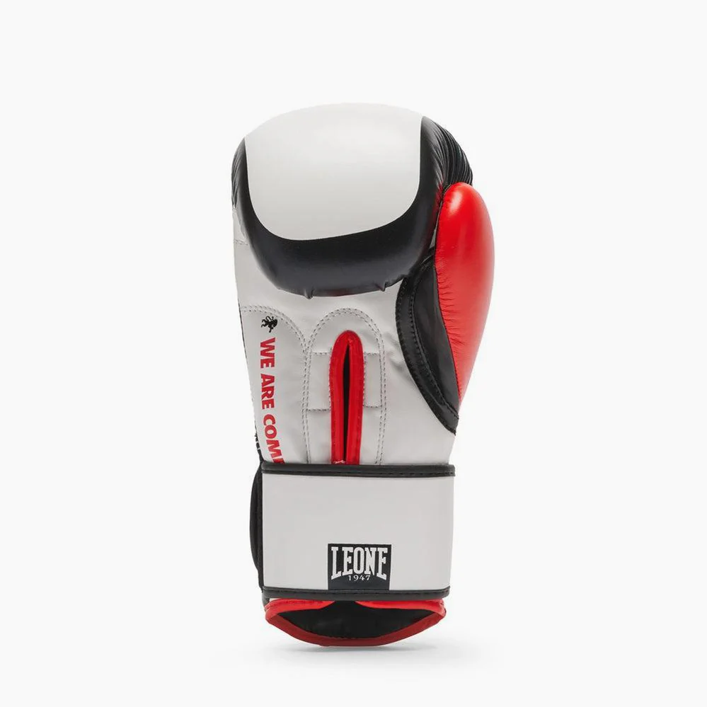Boxing gloves Leone Logo WACS GN333  - Image 22