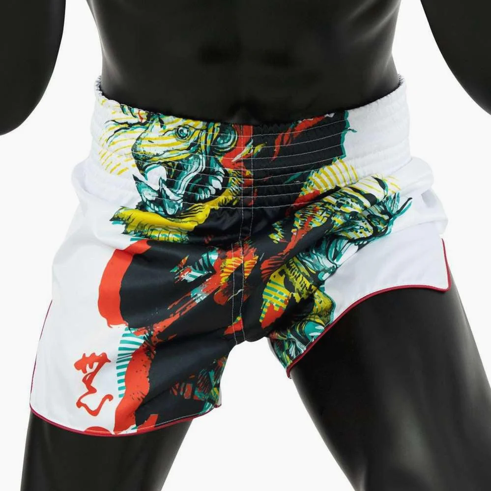 Kick-thai shorts Fairtex BS1908 Satoru's collection  - Image 2