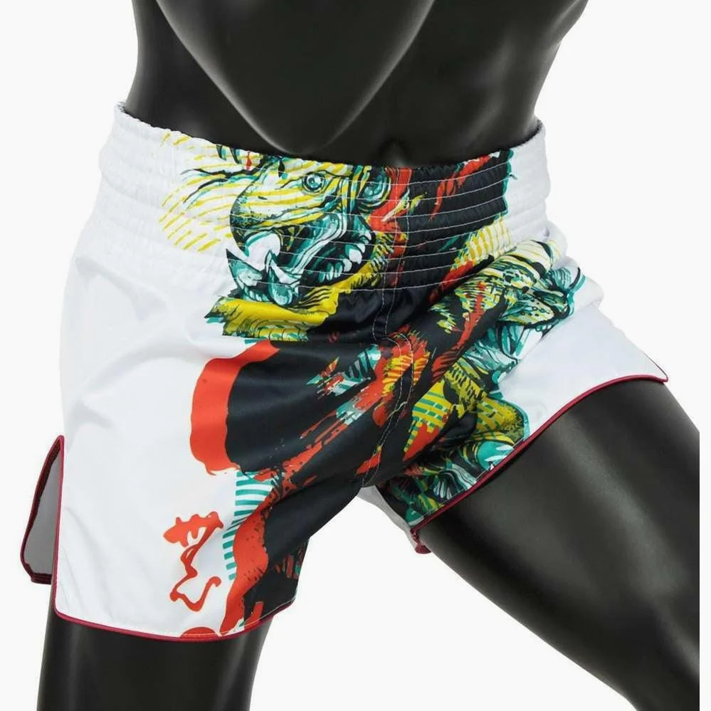 Kick-thai shorts Fairtex BS1908 Satoru's collection  - Image 3