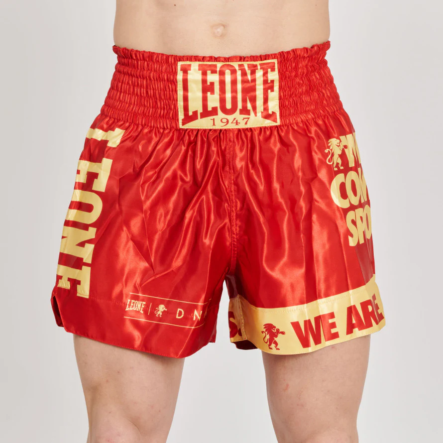 Kick-thai shorts Leone DNA AB966  - Image 18
