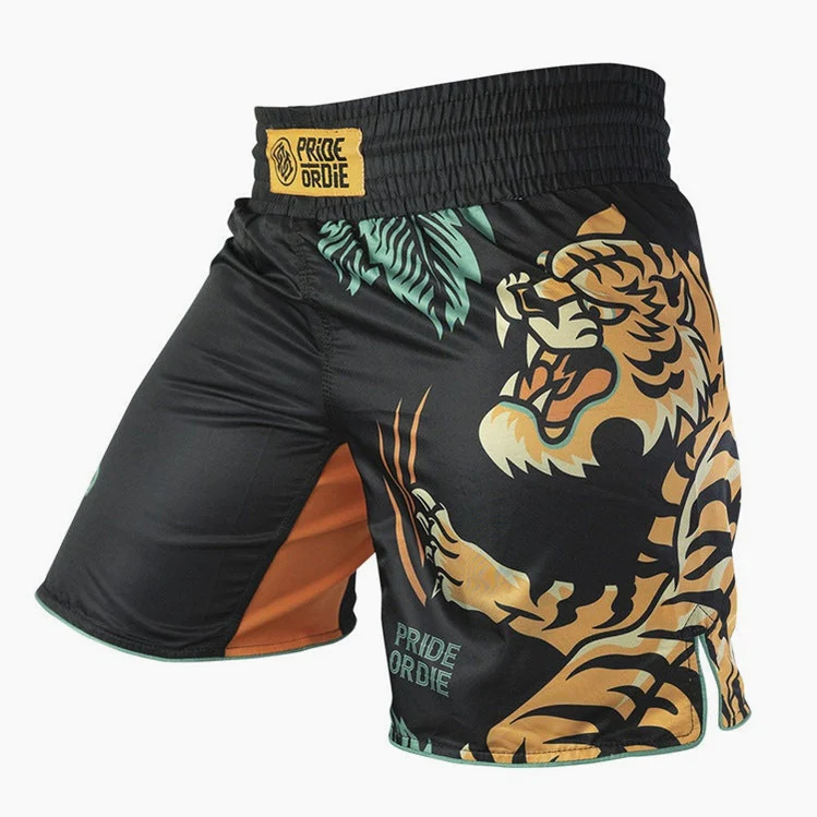 MMA shorts Pride or Die Unleashed V2  - Image 3