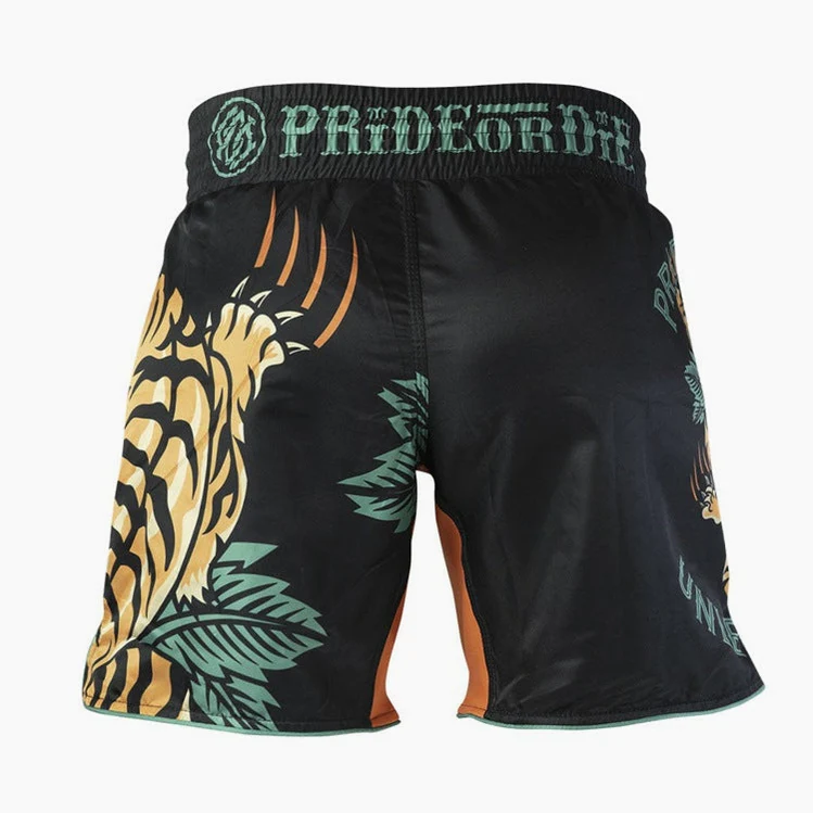 MMA shorts Pride or Die Unleashed V2  - Image 4