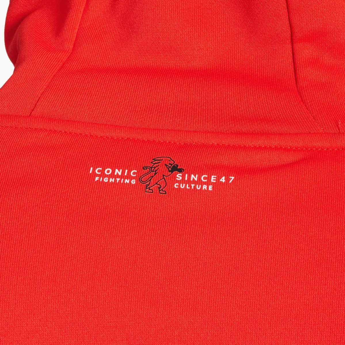 Sweatshirt Tracksuits Leone Iconic with hood ABX436  - Image 24